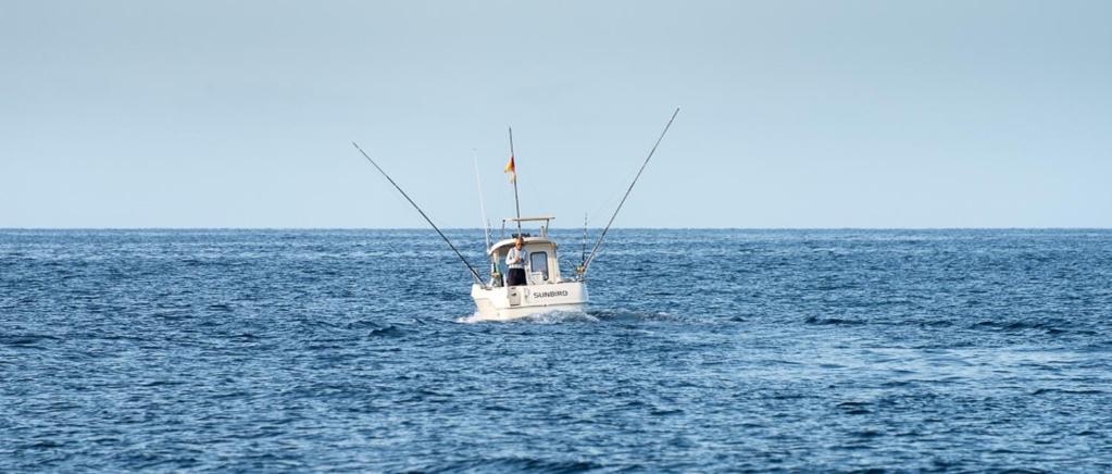 Mistral-20